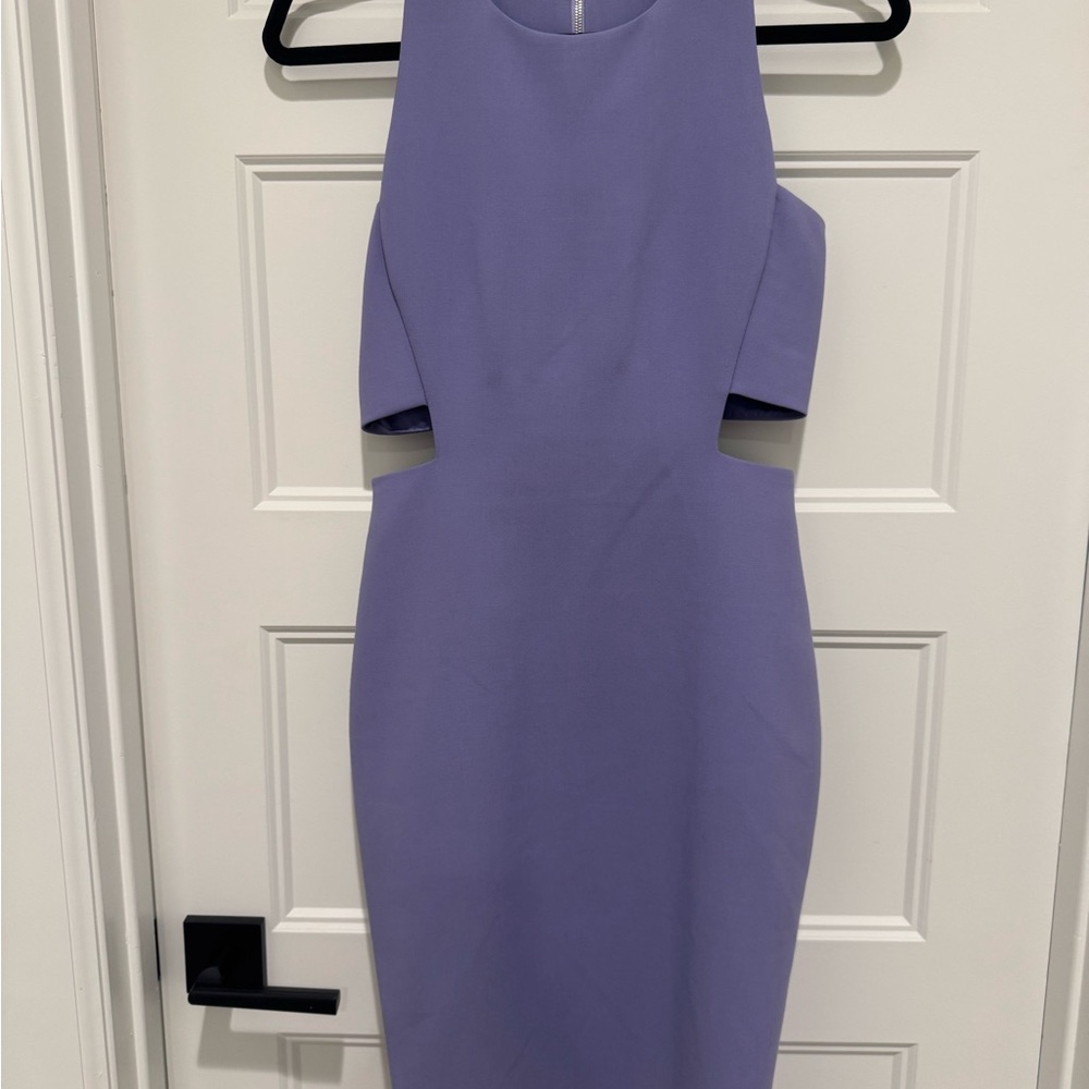 Elizabeth and James Lavender Sheath Cocktail Dress